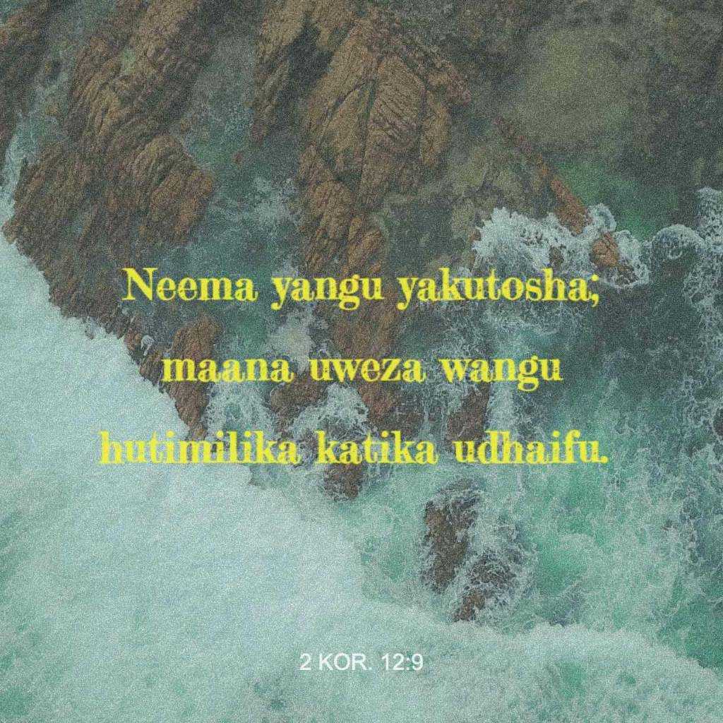 1612674796073.jpg
