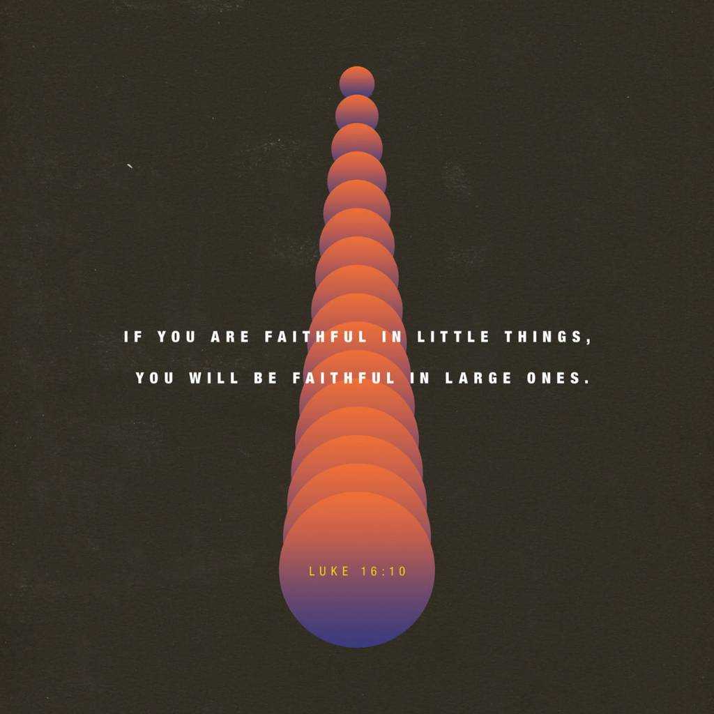1612845694634.jpg