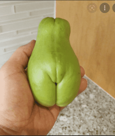 1634725964679.png