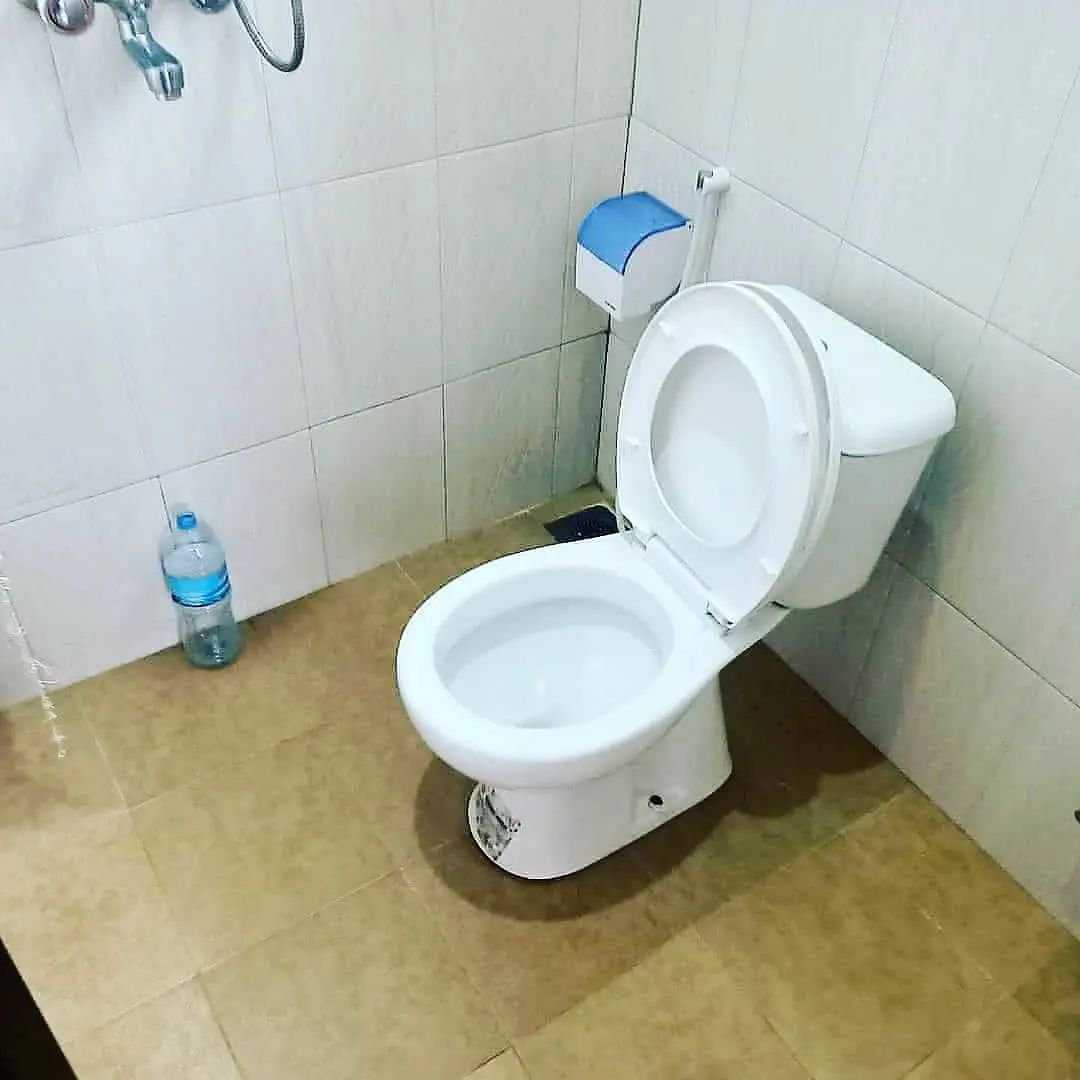 1636868782338.jpg