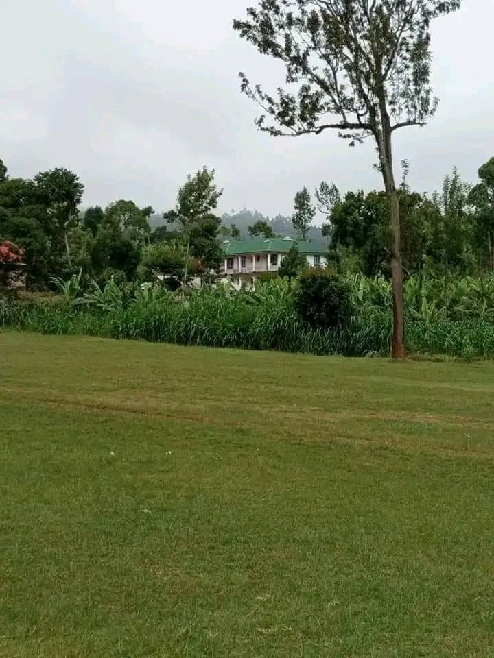 1671005729858.jpg