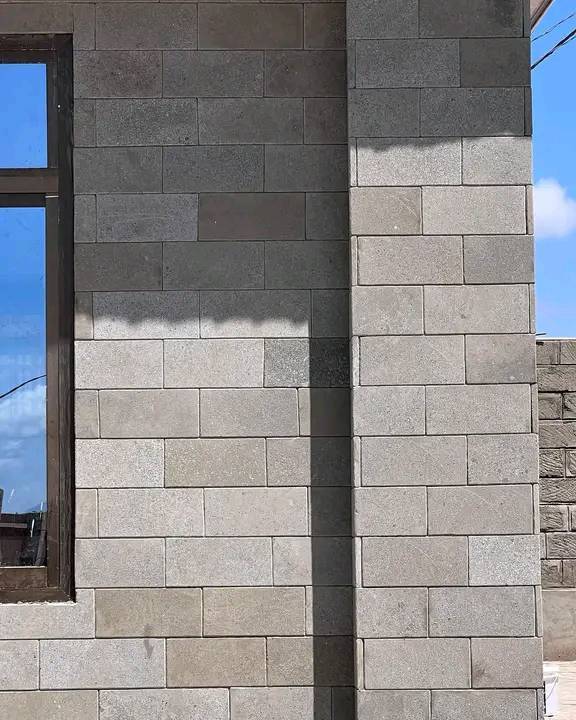 1681398365004.jpg