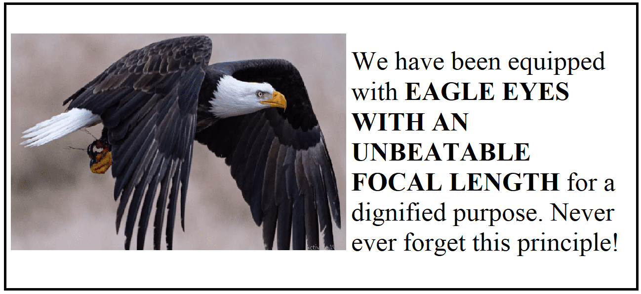 1688245855507.png