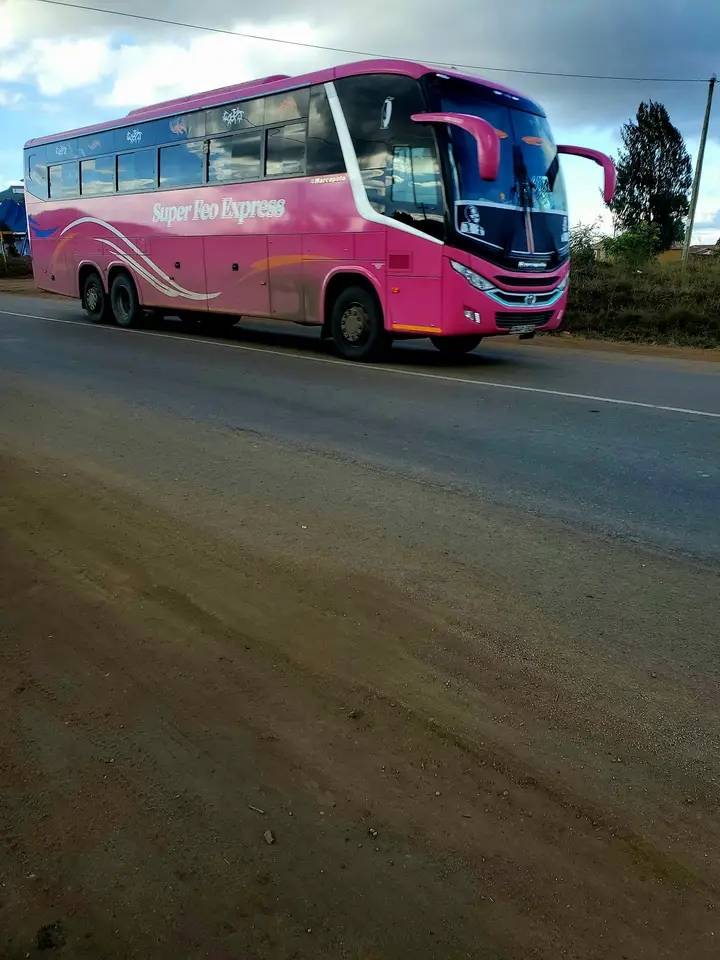1699822401381.jpg