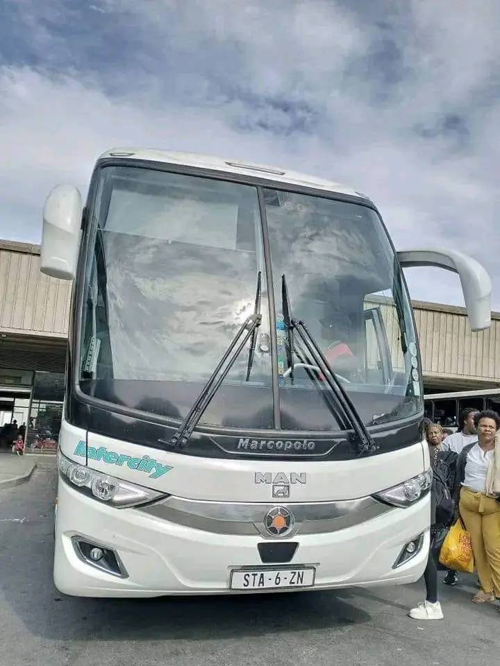 1699859447178.jpg
