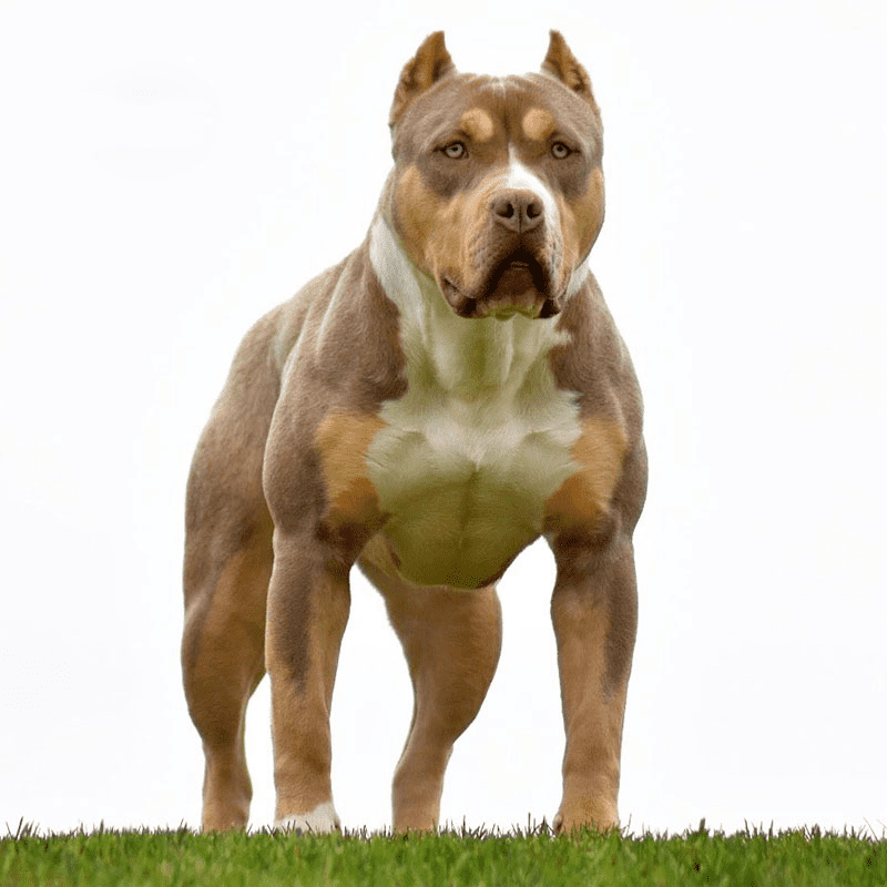 1699919351833.png