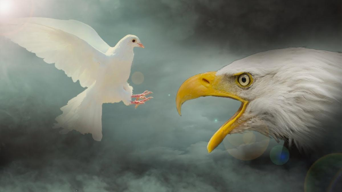 1717063898384.png
