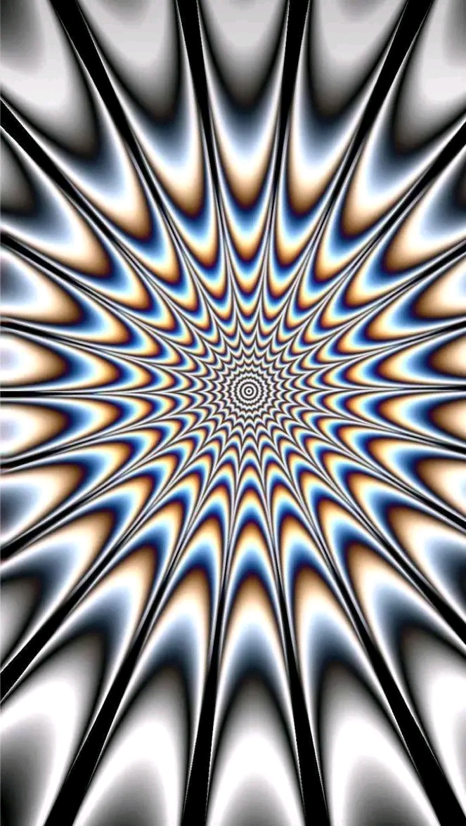1729409878474.jpg