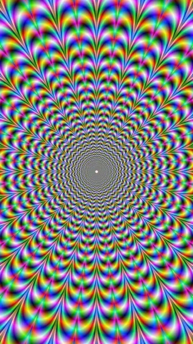 1729409886453.jpg