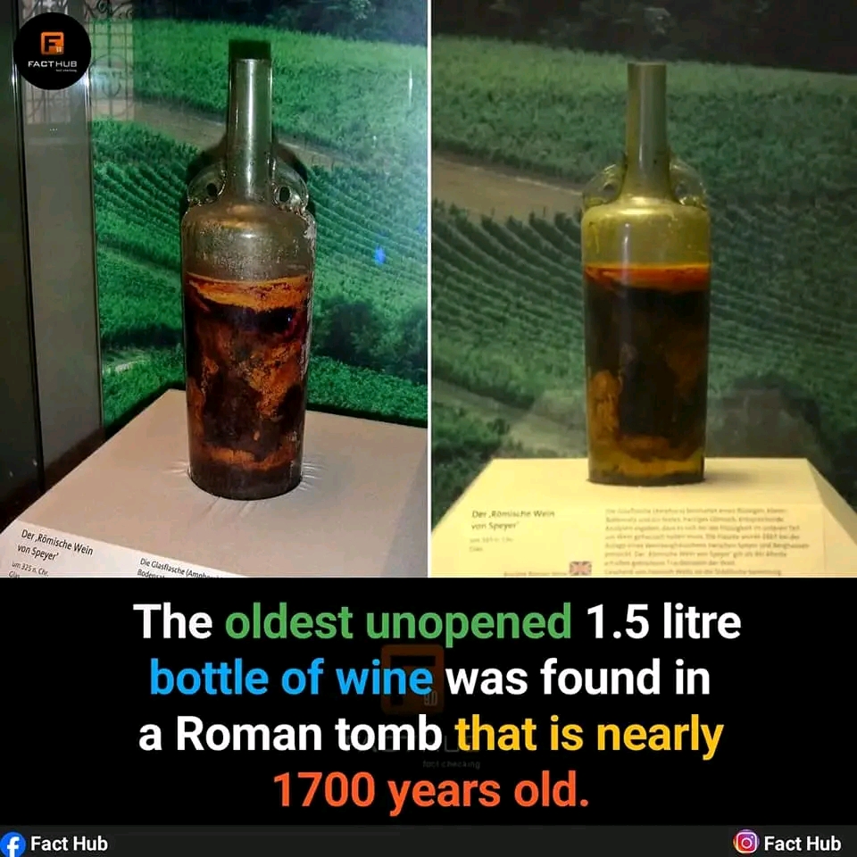 1736730892898.jpg