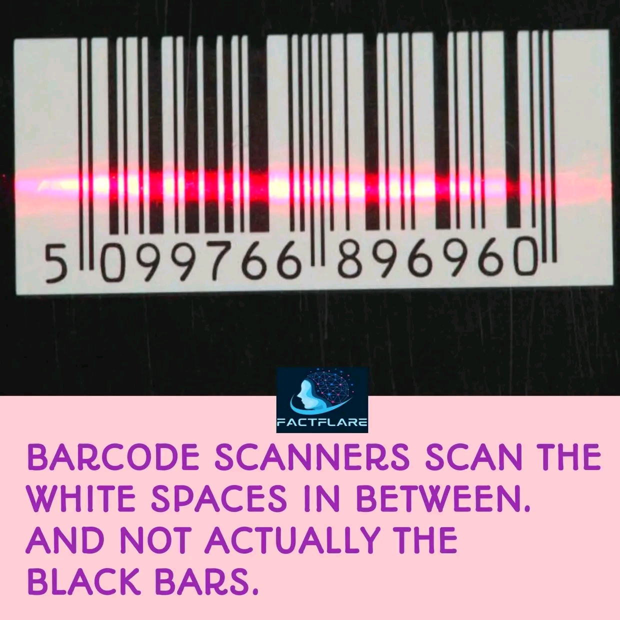 1736762367887.jpg