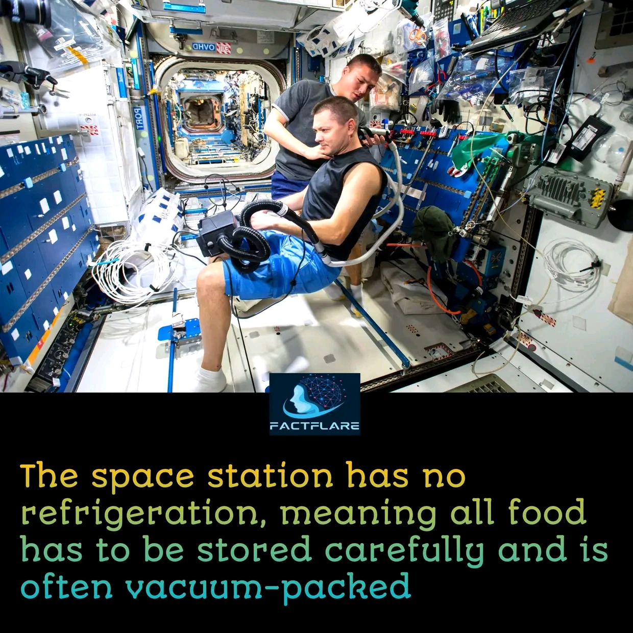 1736762442430.jpg