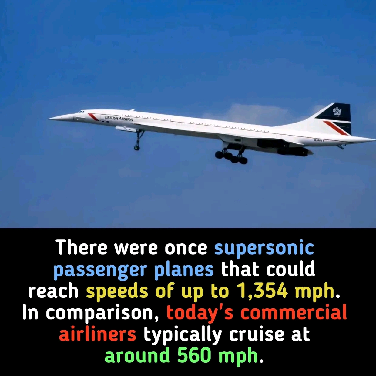 1736795110675.jpg