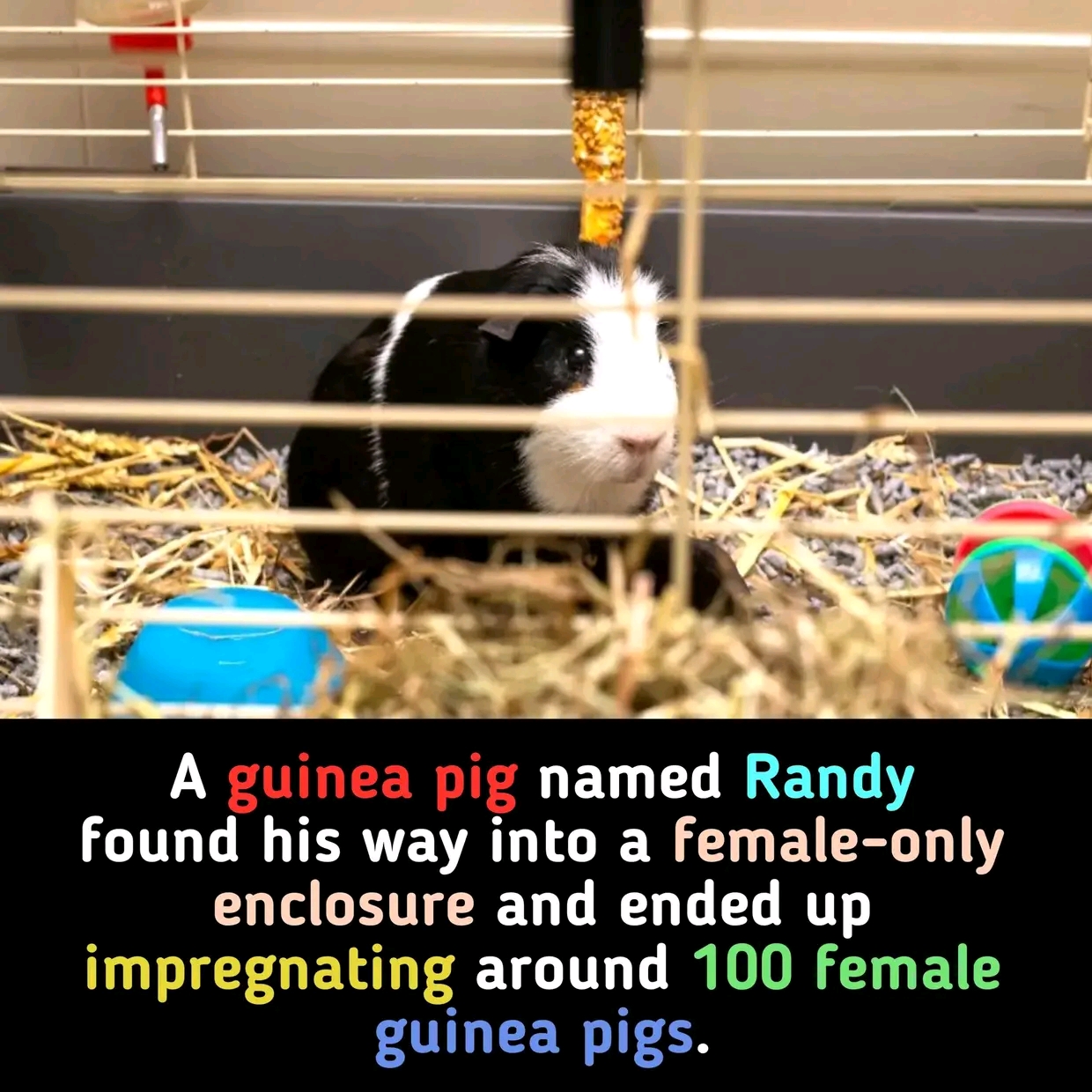 1736795118024.jpg