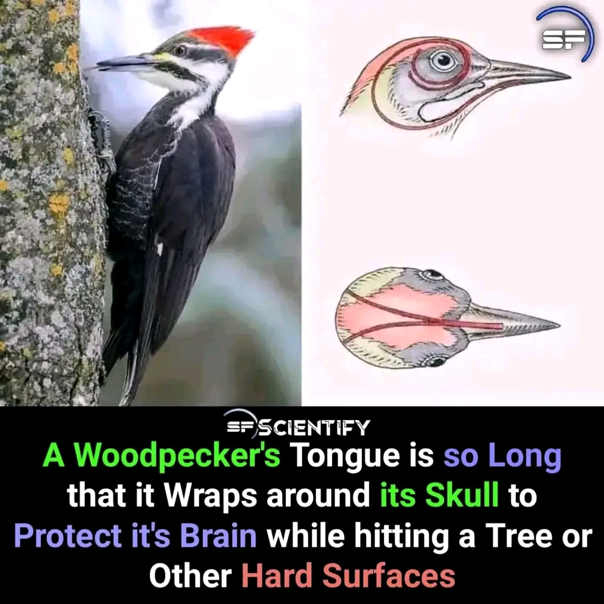 1736914809259.jpg