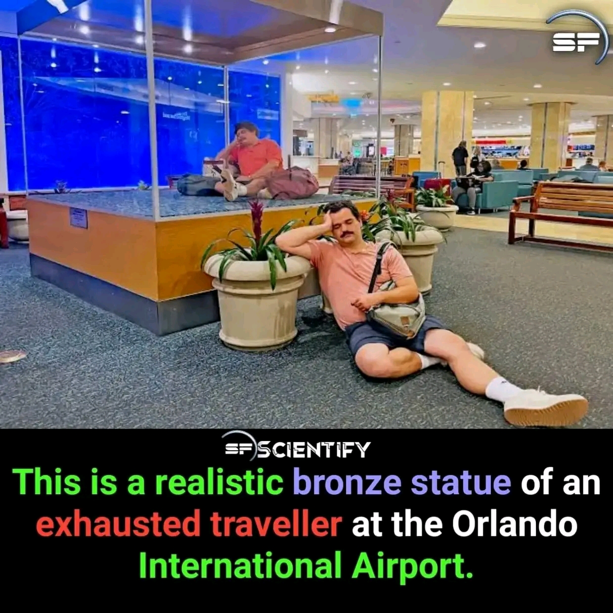 1736914891022.jpg