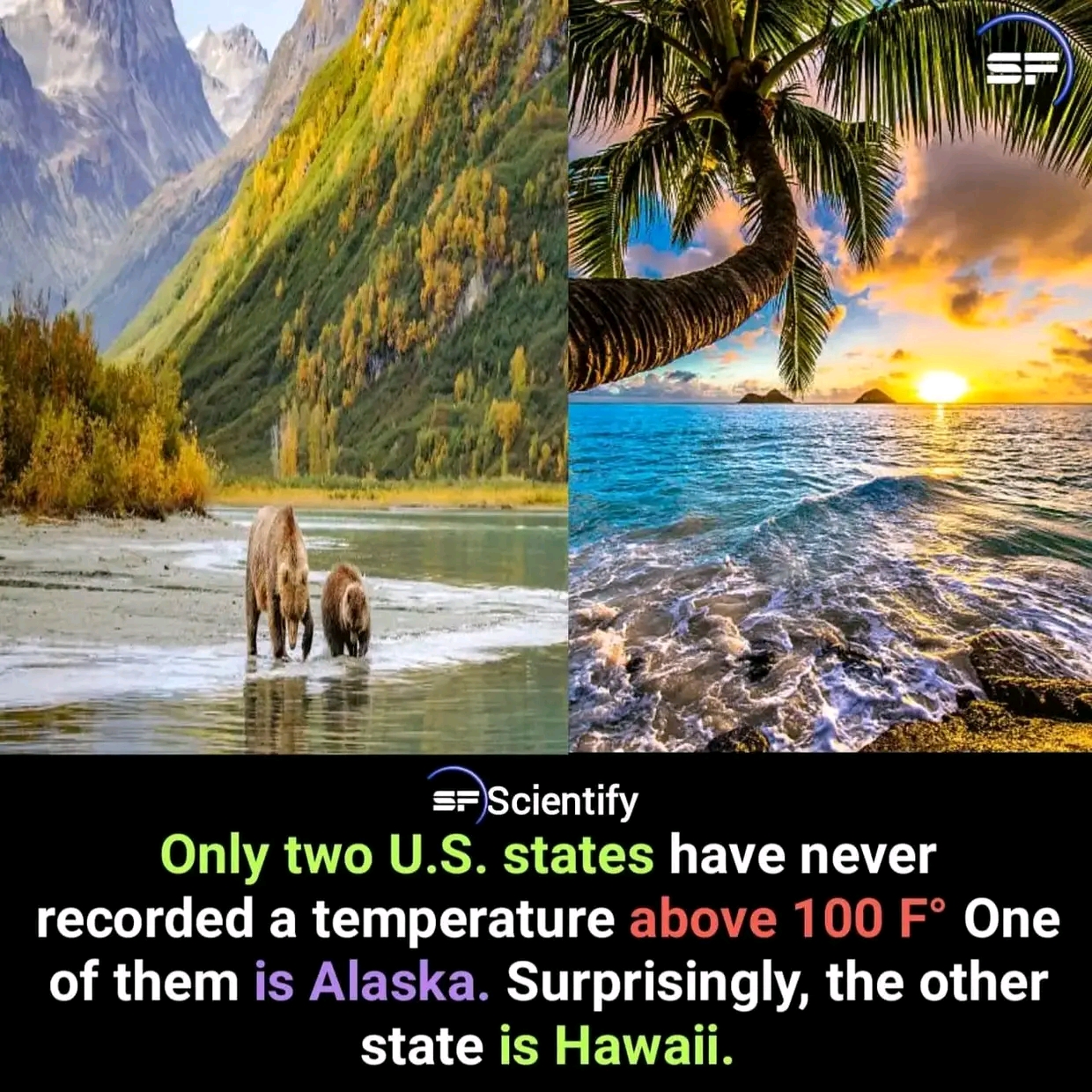 1736914905670.jpg