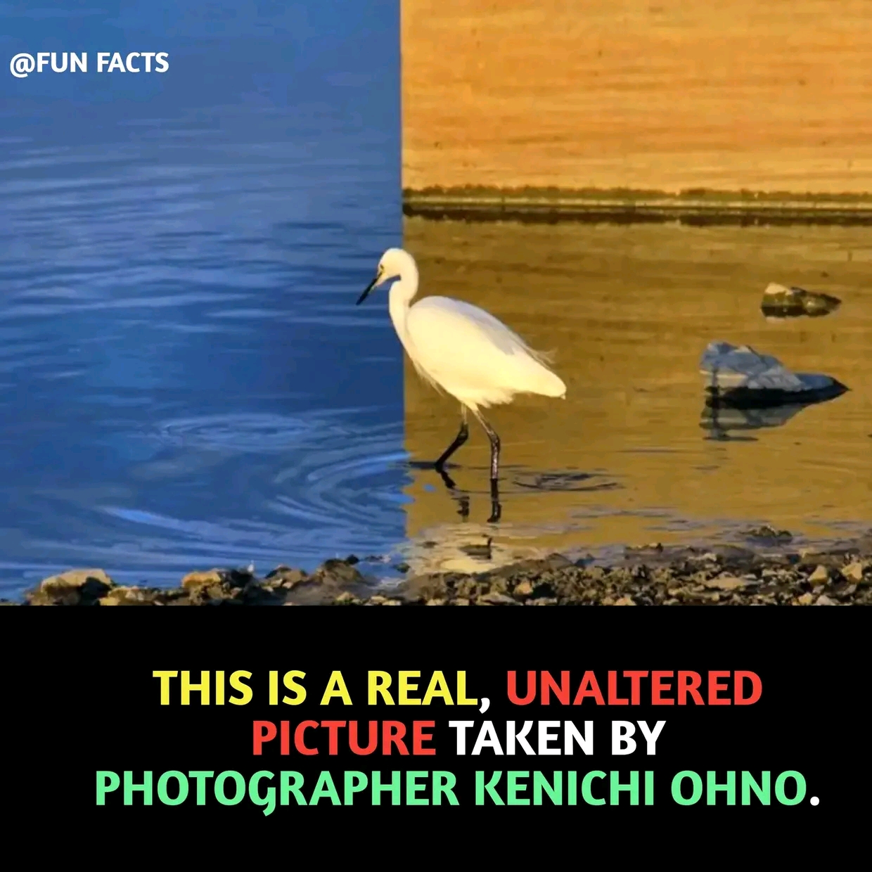 1736938349853.jpg