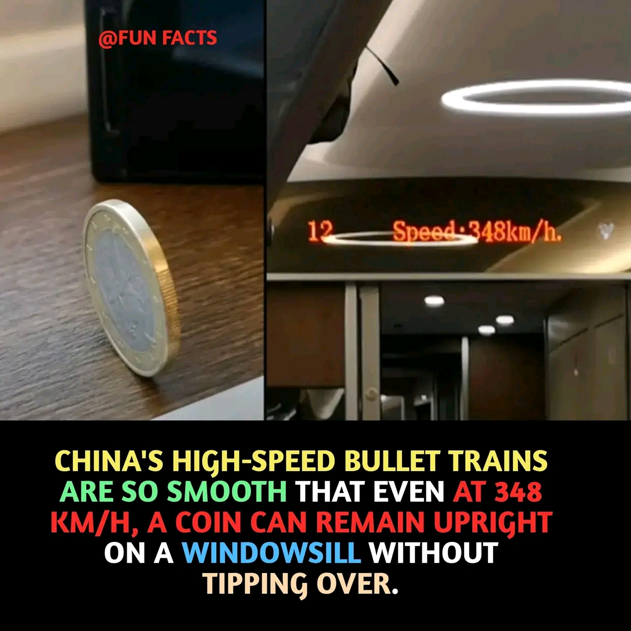 1736938460009.jpg