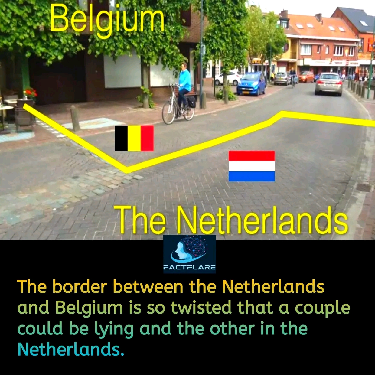 1736959202280.jpg