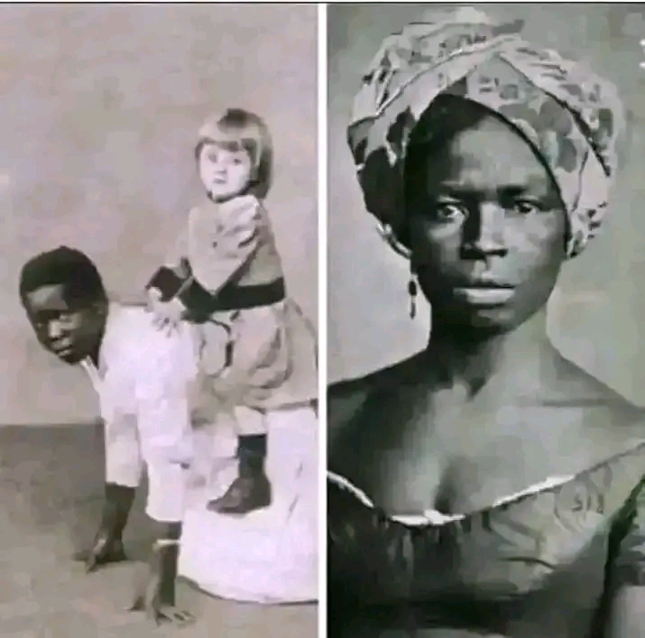 1738197828391.jpg