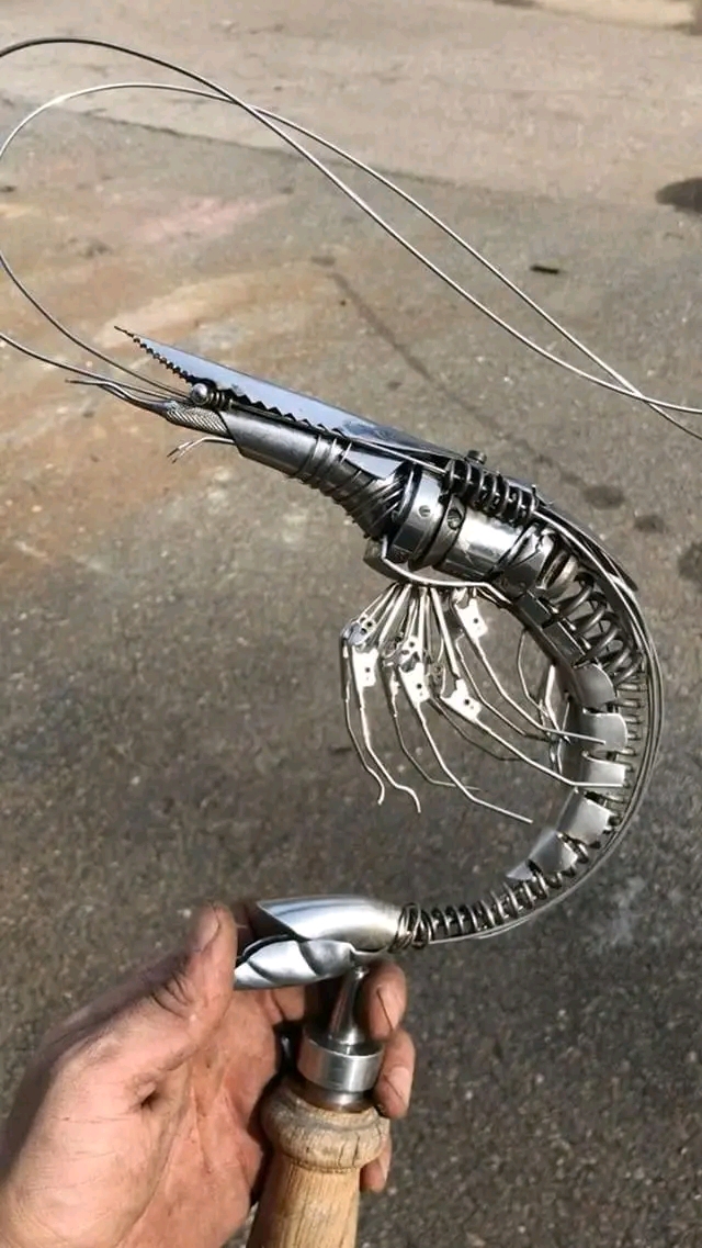 1738515020009.jpg