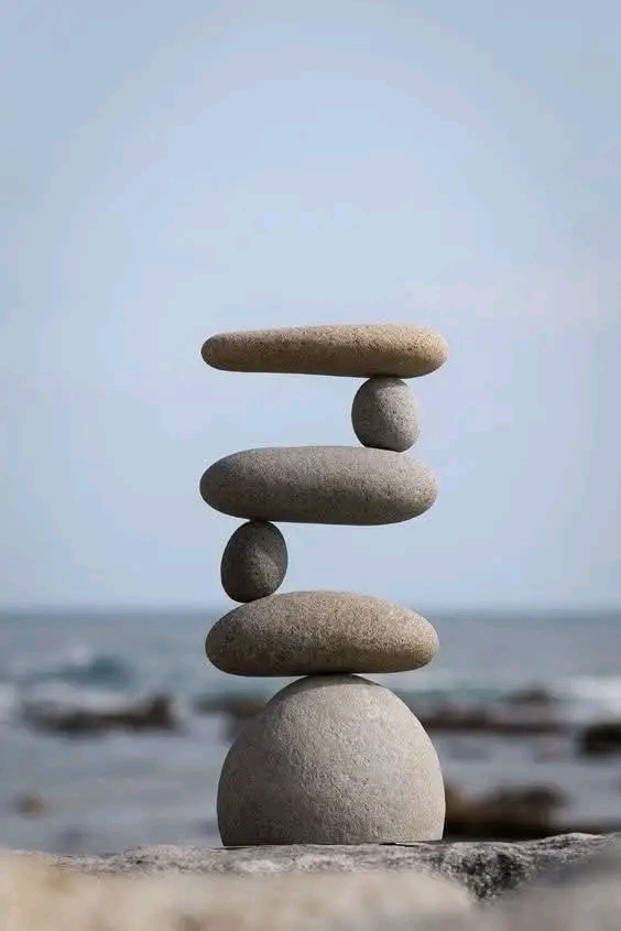 1738614333199.jpg
