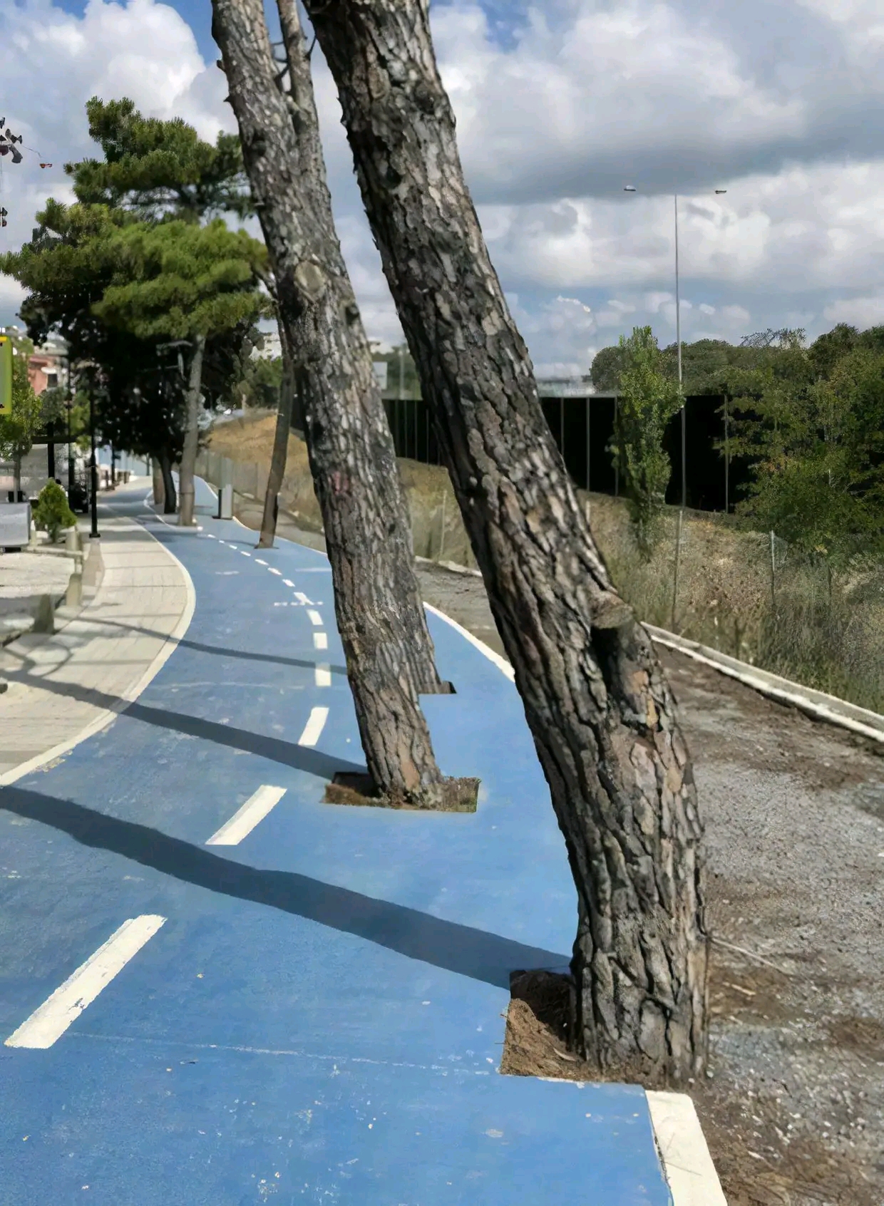 1739057595778.jpg