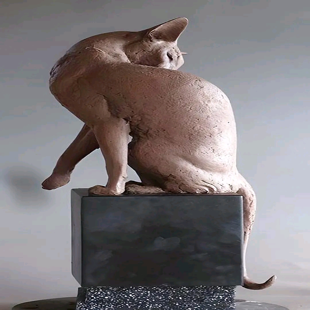 1739080937934.jpg