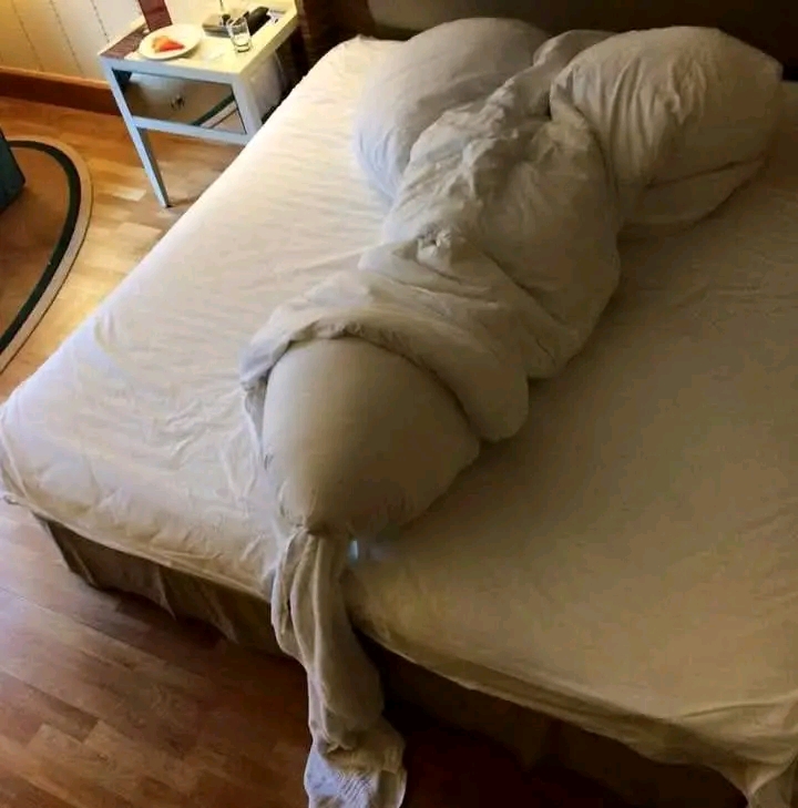 1739426379940.jpg