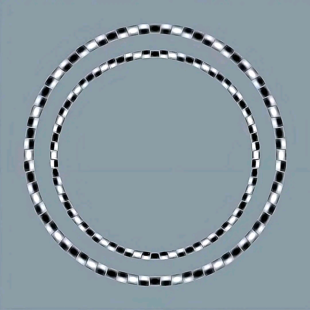 1739692698956.jpg