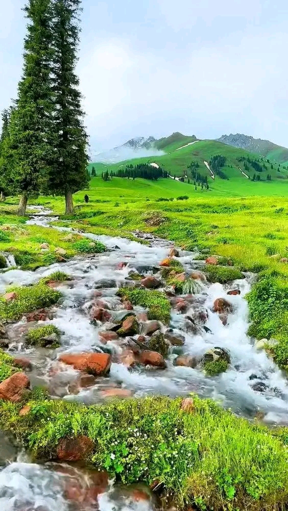 1739869809269.jpg