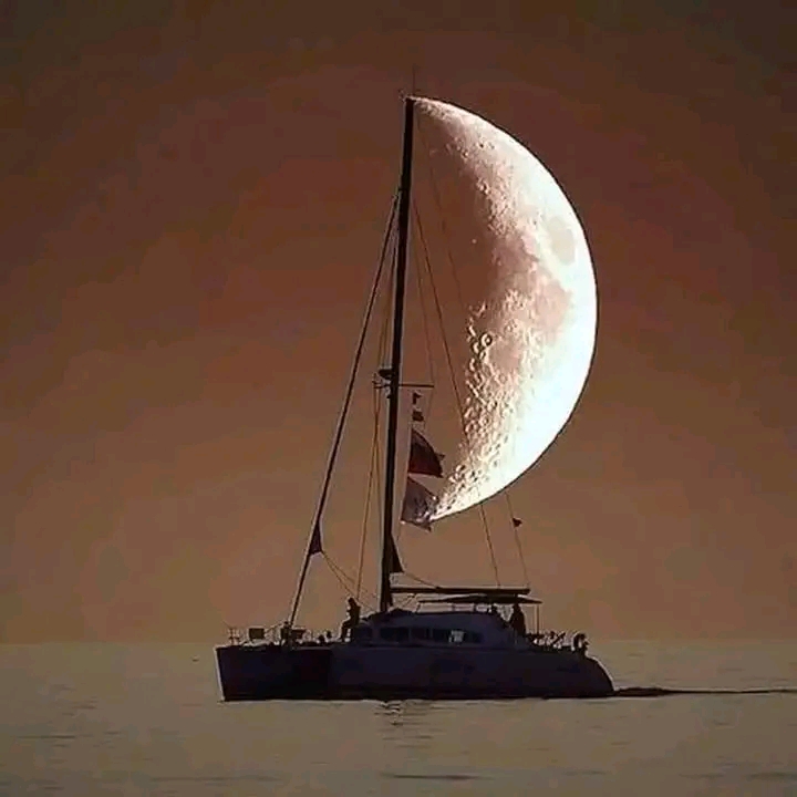 1740166298319.jpg
