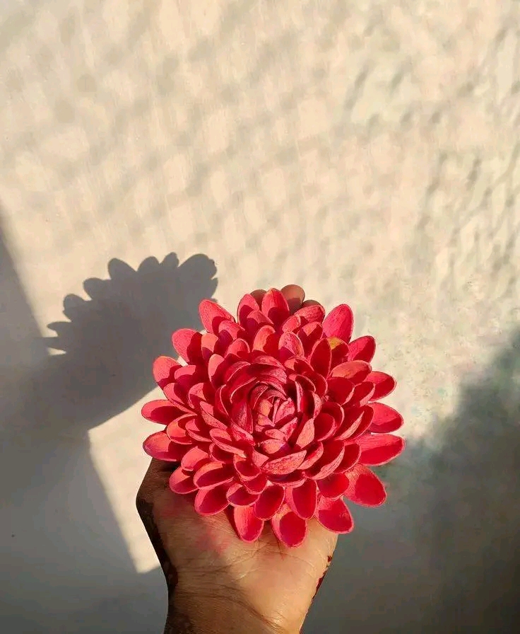 1740342369655.jpg