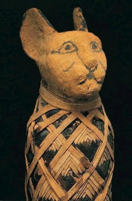 1740487714415.jpg