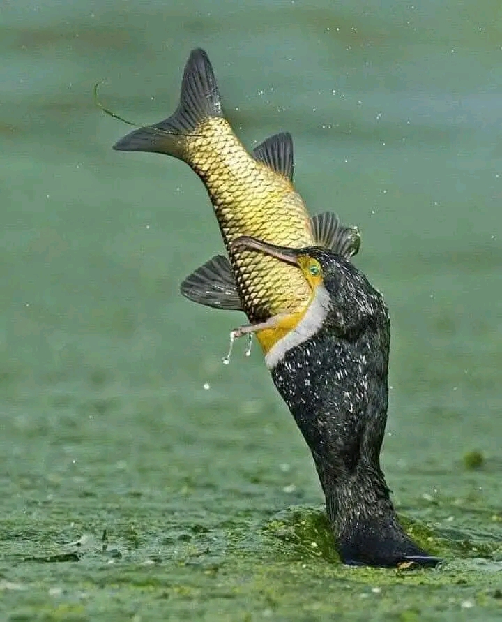1740552480771.jpg
