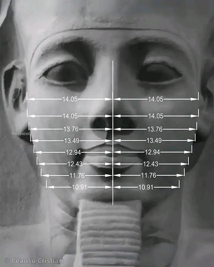1740565323935.jpg