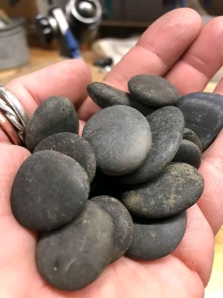1740949795306.jpg
