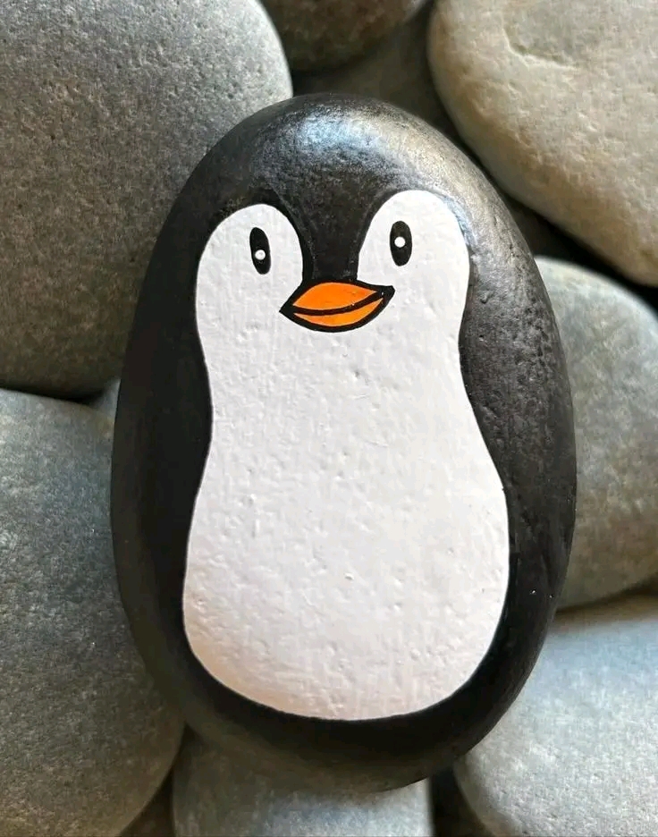 1740949911889.jpg