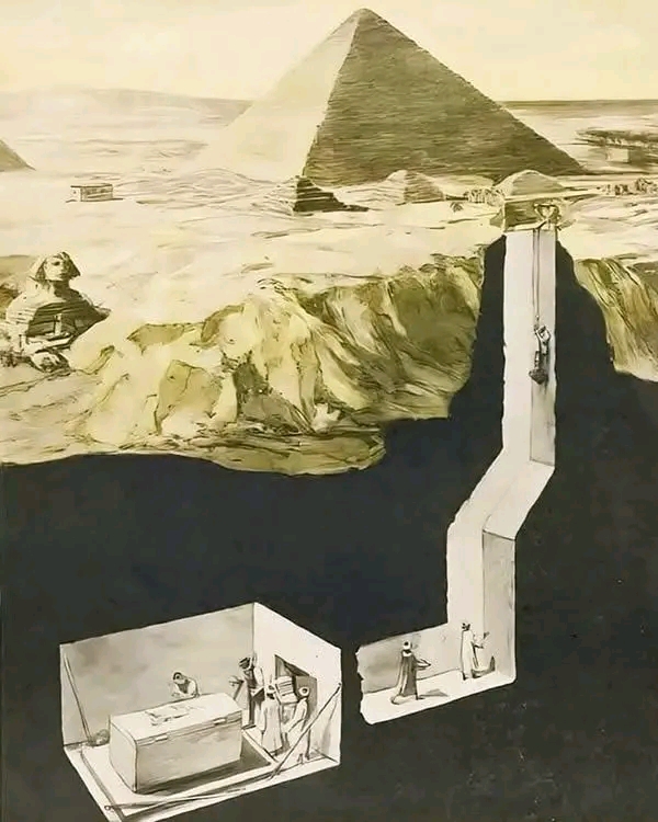 1741419661118.jpg