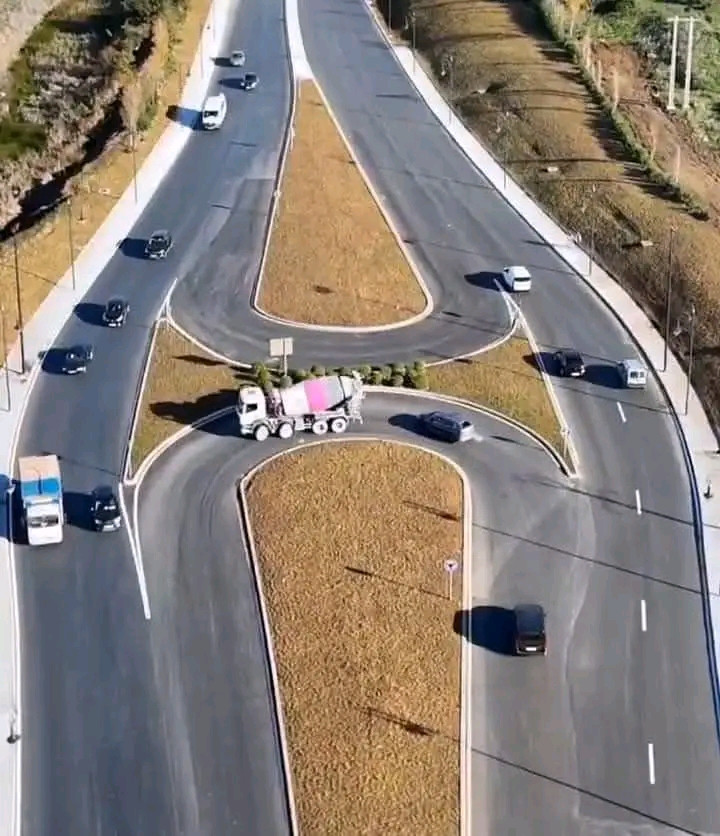 1741463956492.jpg