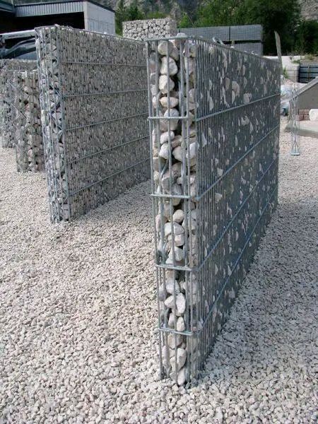1742739915331.jpg