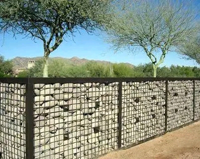 1742739958905.jpg
