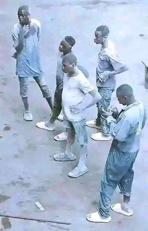 1743790188865.jpg