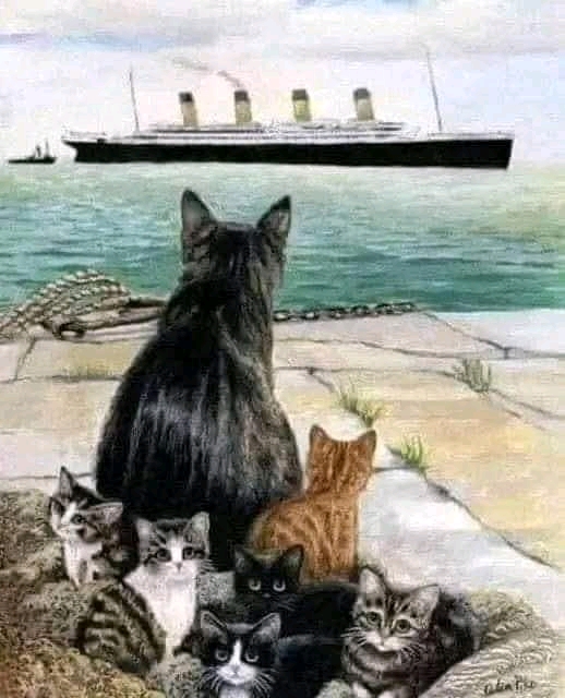 1744076603752.jpg