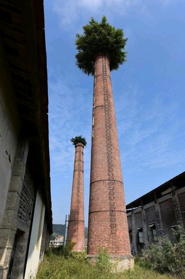 1744080844383.jpg