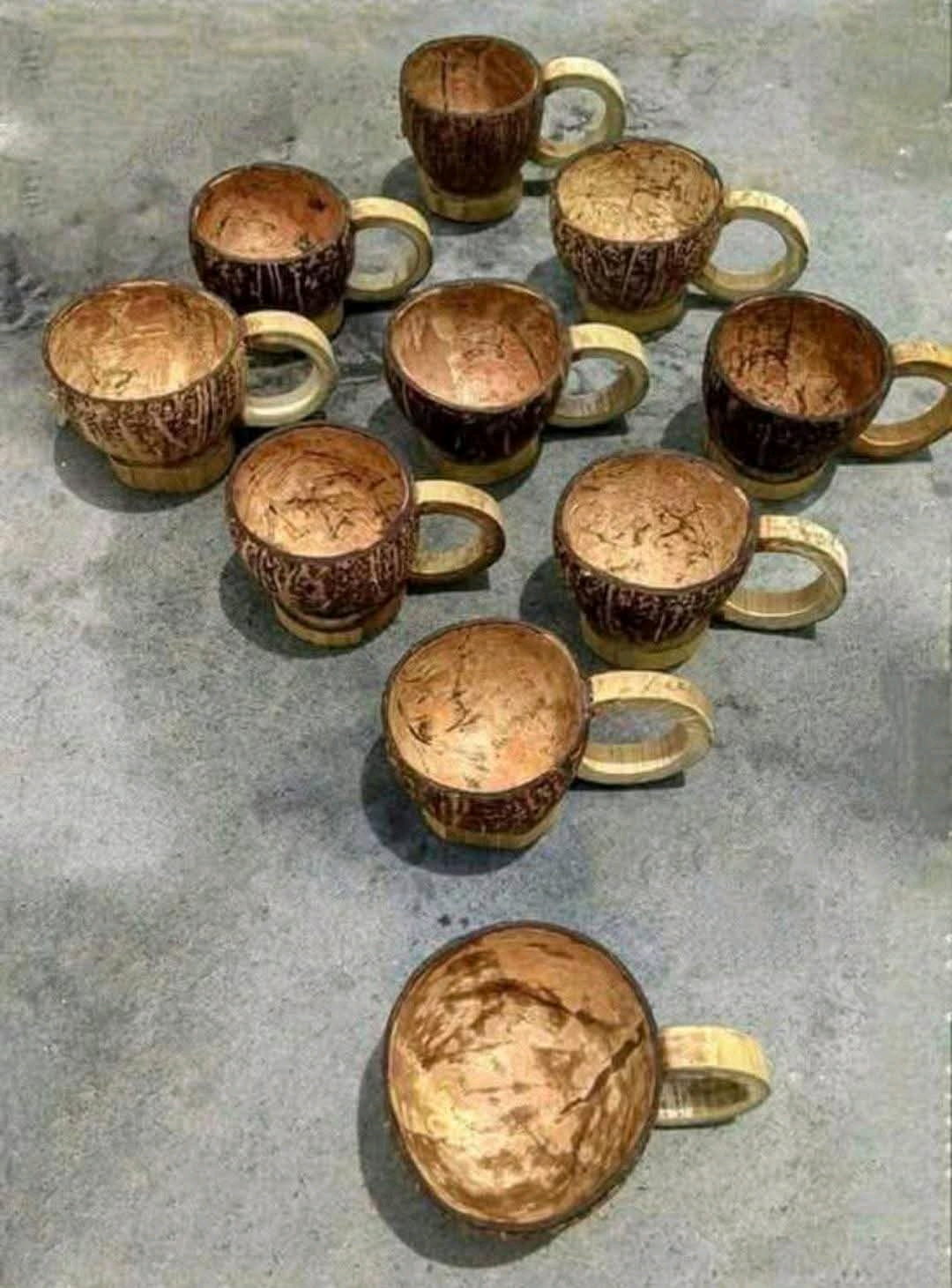 1744268677785.jpg