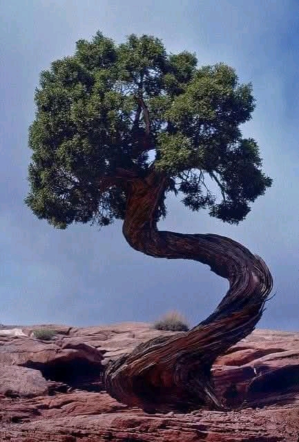 1744374268880.jpg