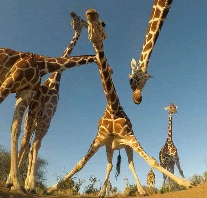 1744478134628.jpg