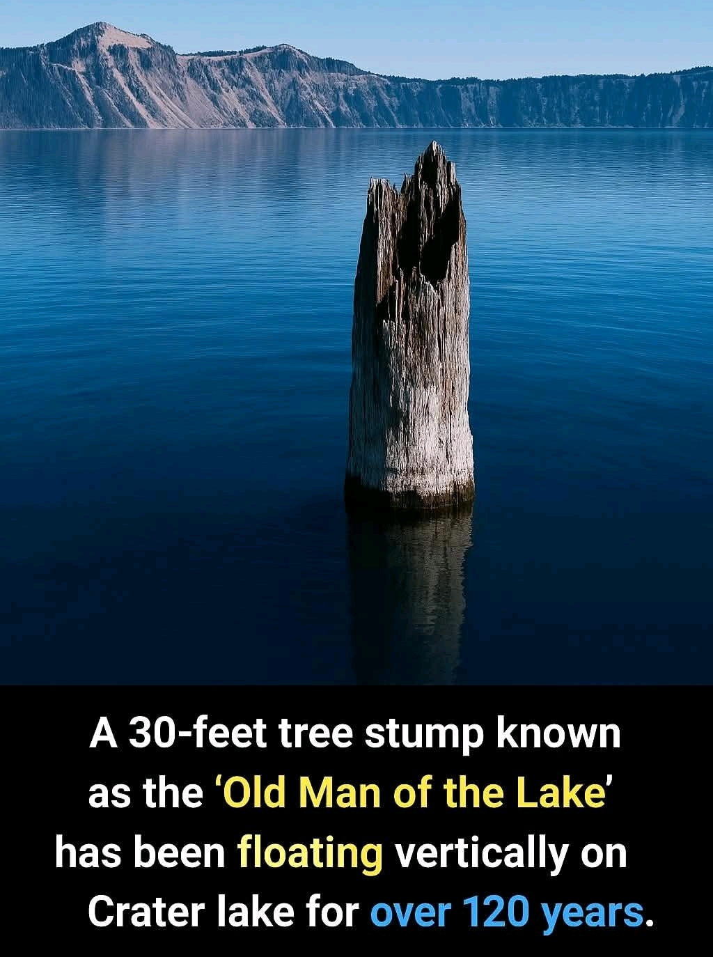 1744662818298.jpg